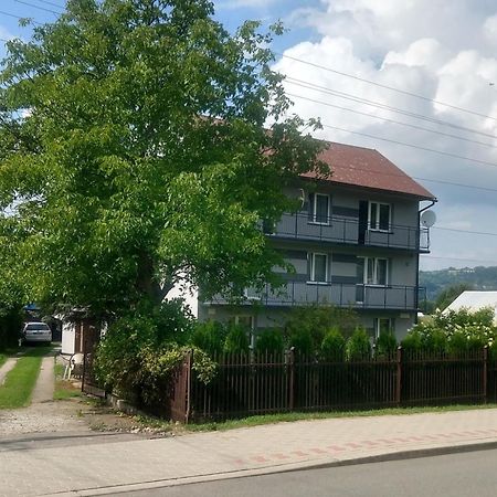 Отель Pokoje Рожнув Экстерьер фото